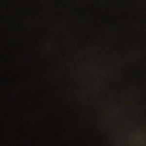 Meet your Posher, Chase